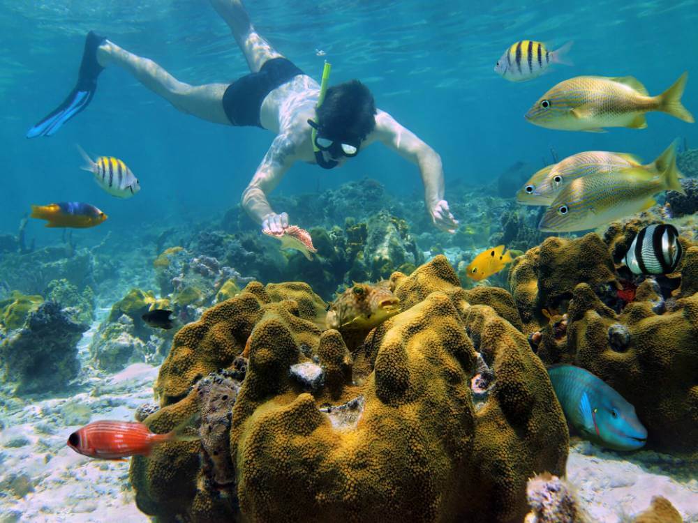 Paquete tres en uno; Xcaret, Isla Mujeres y Chichén Itzá