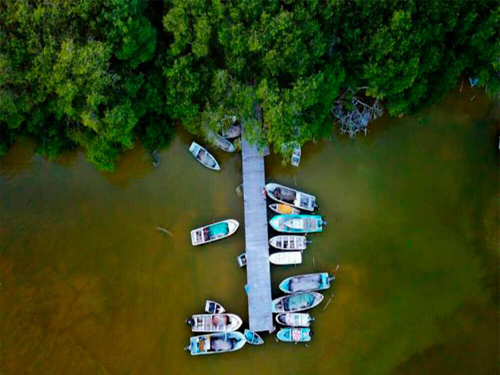 Reserva de Celestún Tour desde Mérida