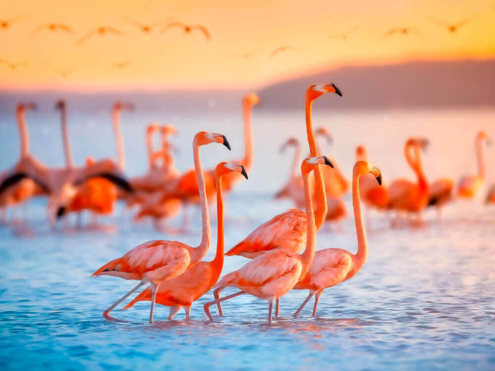 Las Coloradas experiencia de un día 