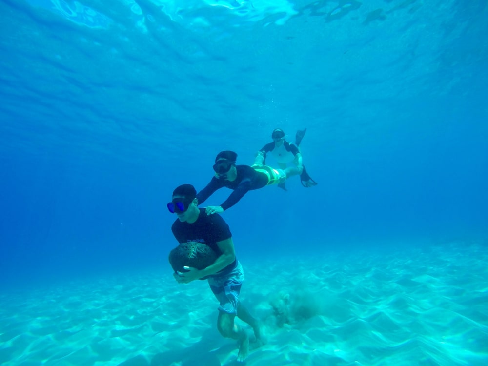 Dos tours, dos días: Isla Mujeres y Xcaret Mágico Plus tour