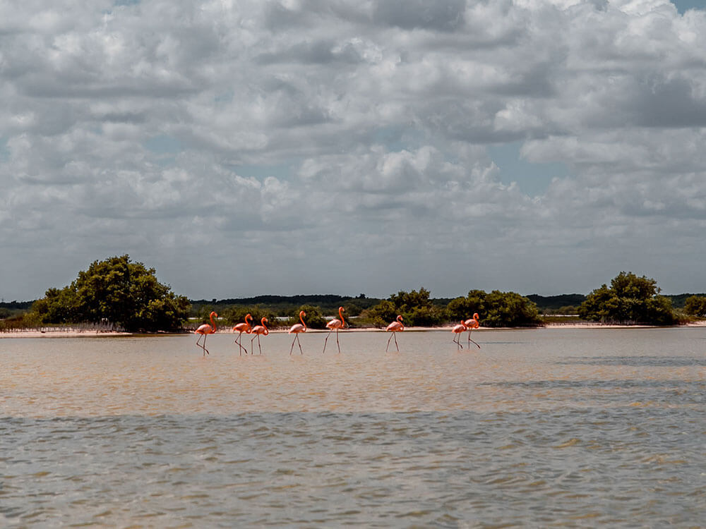 Las Coloradas experiencia de un día 