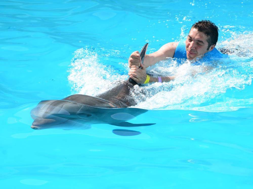 Nado con delfines en Isla Mujeres