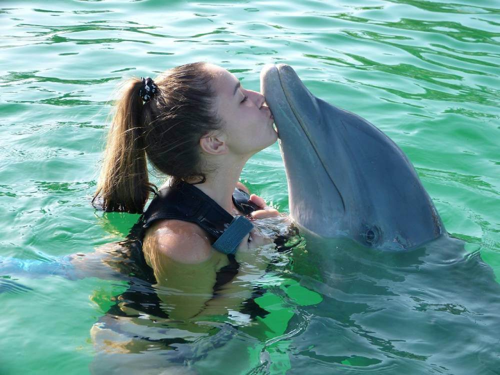 Nado con delfines en Isla Mujeres