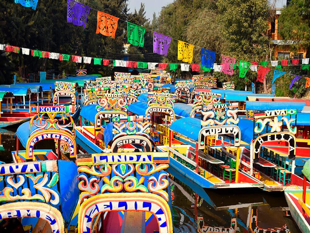 Xochimilco y Universidad