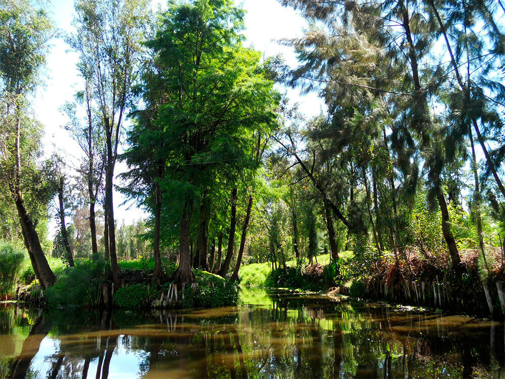 Xochimilco y Universidad
